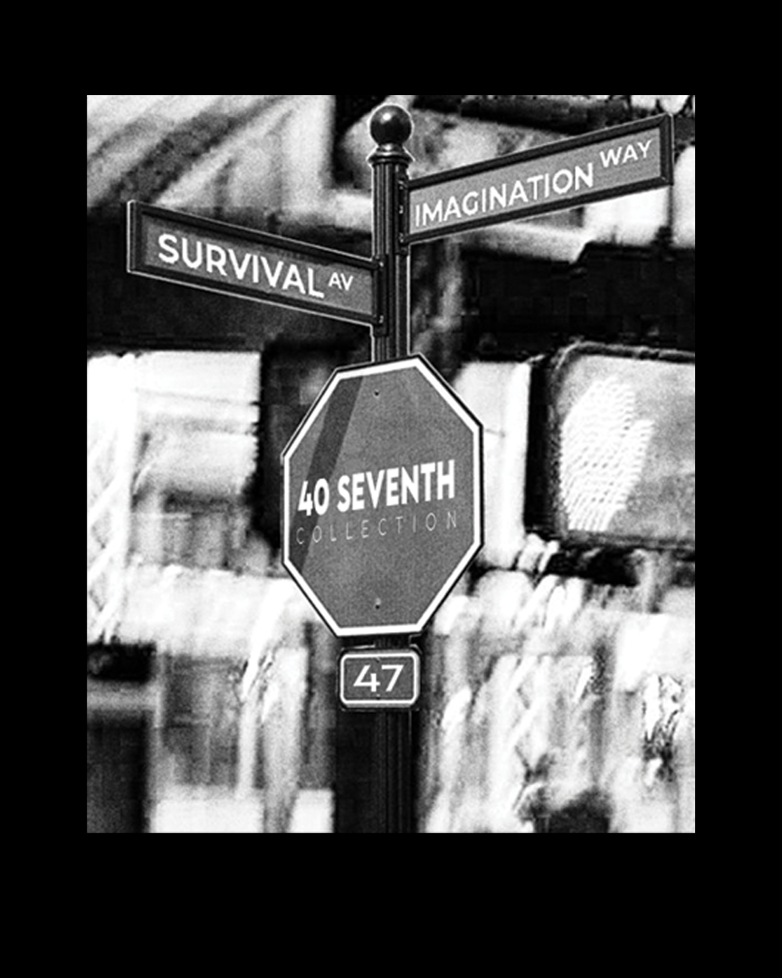 At the Corner of Survival and Imagination Long Sleeve Tee